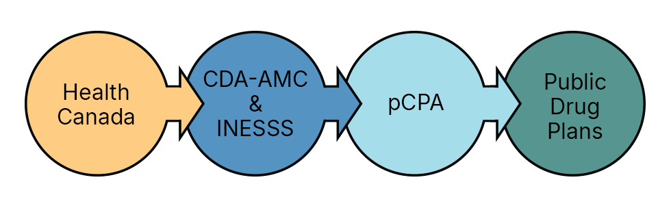 Flow of the process through: Health Canada, CDA and INESSS, pCPA, and Public Drug plans