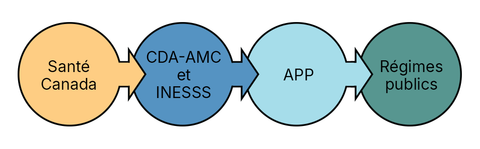 Déroulement du processus à travers : Santé Canada, CDA-AMC et INESSS, l'APP et les régimes publics d'assurance-médicaments